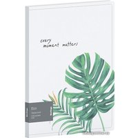 Папка для бумаг Berlingo Eco DB4_20801 (рисунок)