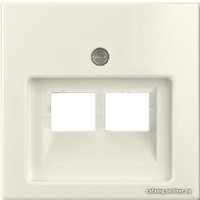 Накладка для компьютерной/телефонной розетки ABB Basic 55 1753-0-0097