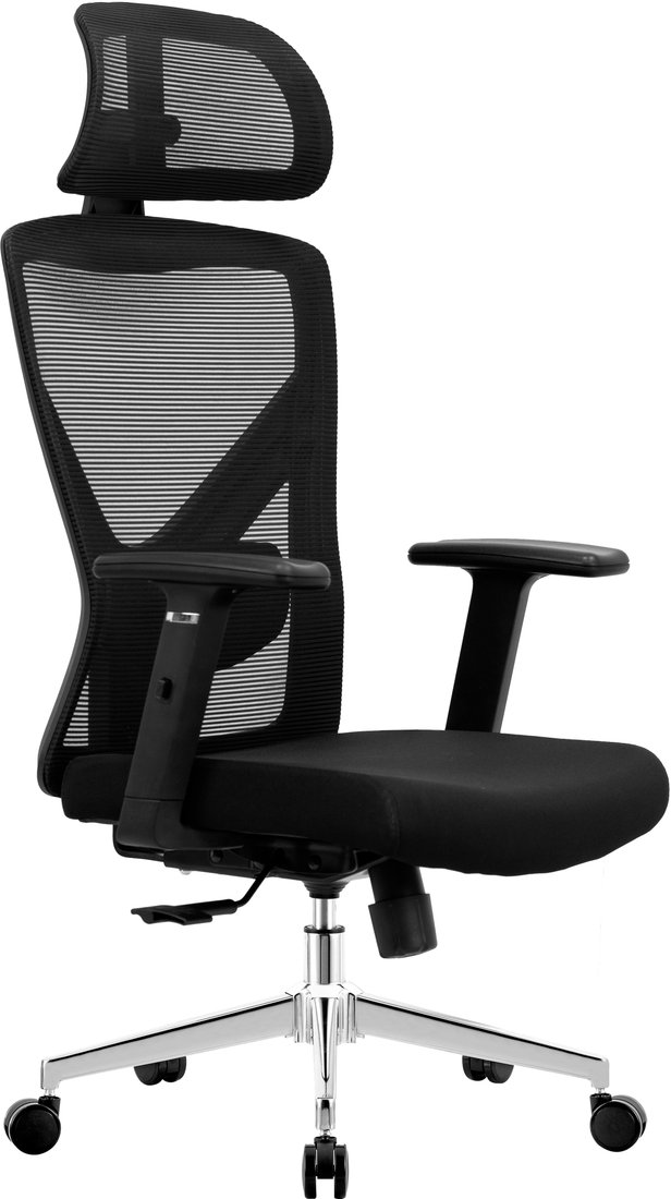 

Офисное кресло Evolution ErgoLine 2 (черный)