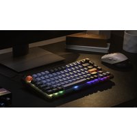 Клавиатура Keychron V1 RGB V1-C3-RU (Keychron K Pro Brown)