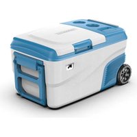 Компрессорный автохолодильник Alpicool DC30 24.8л (белый/синий, с адаптером)