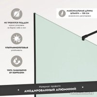 Душевая стенка Benetto BEN-602_BL_M 1200х2000 (черный, матовое стекло)