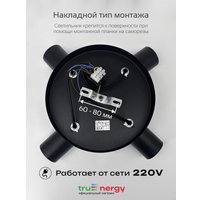 Припотолочная люстра TruEnergy 21492