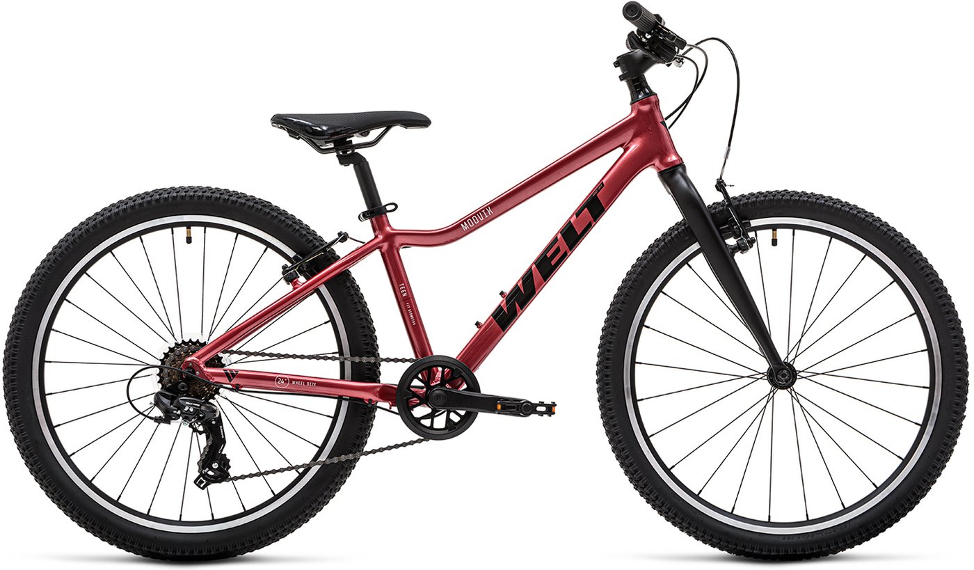 Велосипед Welt Moovix 1.0 24 V (Rich Pink)