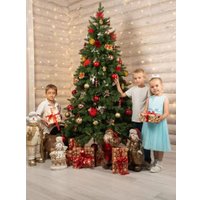 Елка National Tree Company Ариадна АРД-210 (210см)