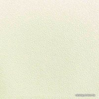 Виниловые обои Erismann Basic Plus 70000-03