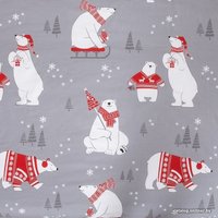 2-спальный комплект постельного белья Этель Зимние игры 4482240