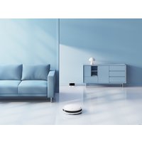 Робот-пылесос Xiaomi Robot Vacuum E10 (европейская версия)