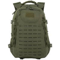 Туристический рюкзак Helios Silver Knight HS-BT-2236-O