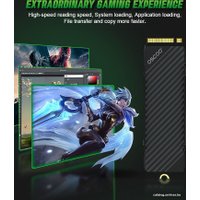 SSD OSCOO ON1000PRO 1TB в Могилеве