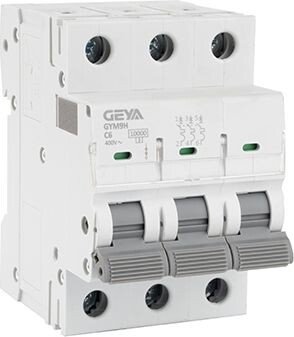 

Выключатель автоматический GEYA GYM9H-3P-6C 3P 6A C 10kA 3M GYM9H3P6C