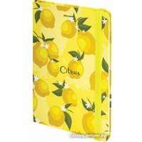 Ежедневник BRAUBERG Lemons 113727 в Гомеле