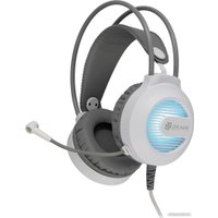 Наушники Оклик HS-L300G (белый) в Витебске