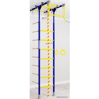 Детский спортивный комплекс Romana R1 01.20.7.06.490.01.00-08 (синий/желтый)