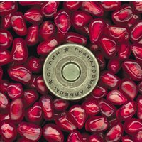  Виниловая пластинка Сплин - Гранатовый Альбом (Remastered, черный винил)