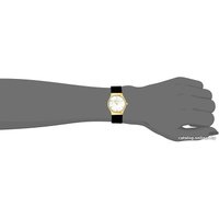 Наручные часы Skagen SKW2209