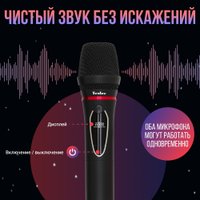 Радиосистема Tesler WMS-700