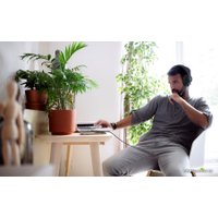 Наушники JBL Free WFH