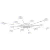 Припотолочная люстра Lumion Torina 8343/12C