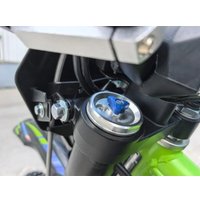 Мотоцикл AVM BisonX 300 (зеленый)