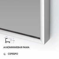 Зеркало Алмаз-Люкс М-468 160х60 см (серебро)