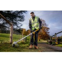 Триммер DeWalt DCMST561P1 (с 1-им АКБ)