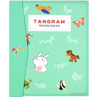 Мозаика/пазл Darvish Tangram SR-T-2394