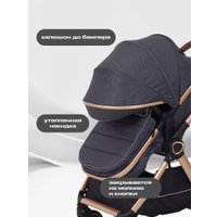 Универсальная коляска Rant Basic Roller Gold RA161 (2 в 1, grey)