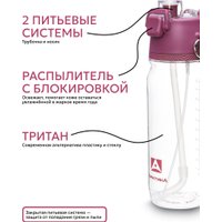 Бутылка для воды Арктика 723-800-BERR (вишня)