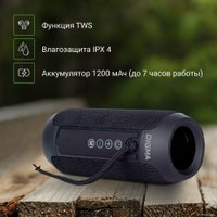 Беспроводная колонка Digma D-PS1510
