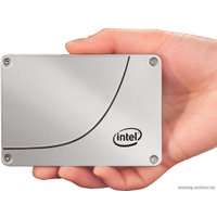 SSD Intel DC S3500 300GB (SSDSC2BB300G401)