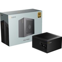Блок питания Ocypus Iota P850 Iota-P850-G1FFBK024X-EU + буклет-вкладыш на 10 для Steam (Европа, Россия)