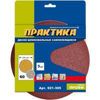 Набор шлифлистов Практика Профи 921-305 (5 шт)