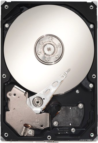 Seagate Pipeline HD.2 1TB ST31000424CS