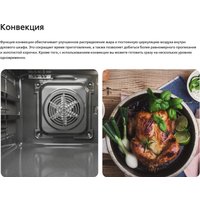 Кухонная плита Hansa FCCL69225