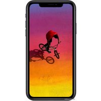 Телефон Apple iPhone XR 128GB (с гарнитурой и адаптером, черный)