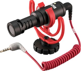 VideoMicro