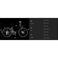 Электровелосипед DYU C6 250W (белый)