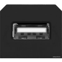 Розетка USB Orno OR-GM-9011/B/USB