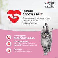Сухой корм для кошек Purina ONE для котят с курицей и цельными злаками 200 г в Бобруйске
