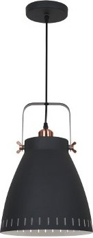 

Светильник Camelion New York PL-428L (черный)