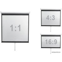 Проекционный экран Digis Optimal-D 248x189 DSOD-4304