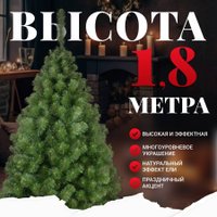 Сосна Erbis Sosna Сибирская 180