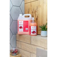  Результат.Про Тропическое личи (5 кг)