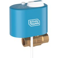 Электрический вентиль Stahlmann 1/2F 12В 2282755