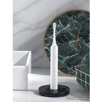 Электрическая зубная щетка Infly Sonic Electric Toothbrush T03S (футляр, 2 насадки, черный)