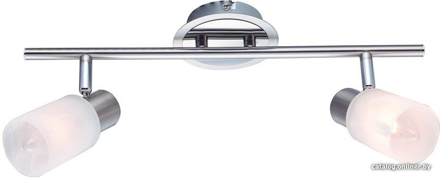 Точечный светильник Arte Lamp Cavaletta A4510PL-2SS