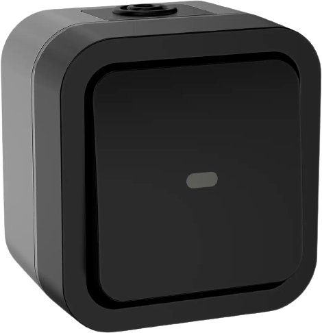 

Выключатель IEK Tors TS-V10-1-10-55-K53