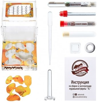 Формикарий AntsMinsk Стартовый комплект XL Autumn