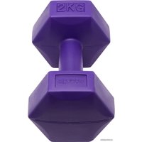 Набор гантелей BaseFit DB-305 2x2 кг (фиолетовый)